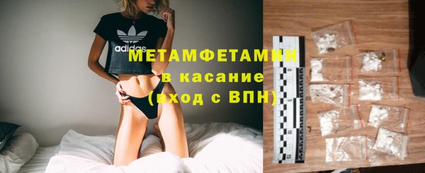 стаф Вязьма