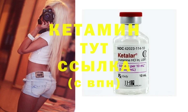 стаф Вязьма