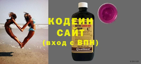 стаф Вязьма
