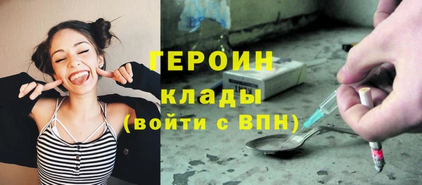 стаф Вязьма
